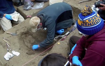 scientists working on burial site